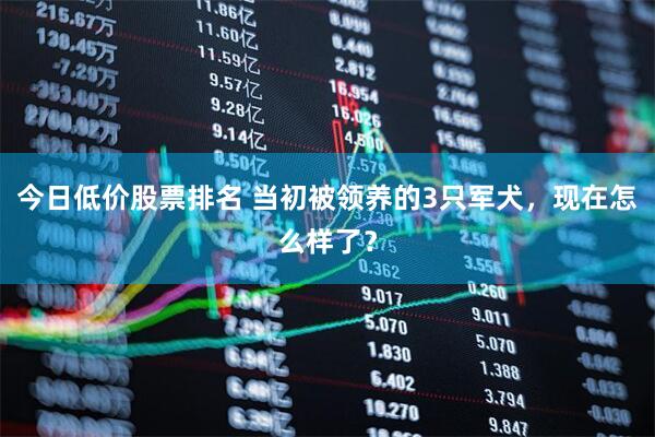 今日低价股票排名 当初被领养的3只军犬，现在怎么样了？